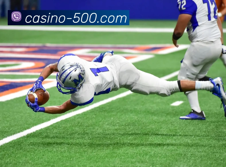 App Interface Preview